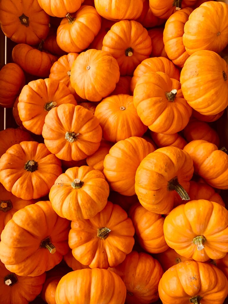 pumpkin sweet